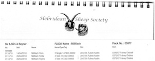 Our entry in the Hebridean Sheep Society 2010 Flock Book